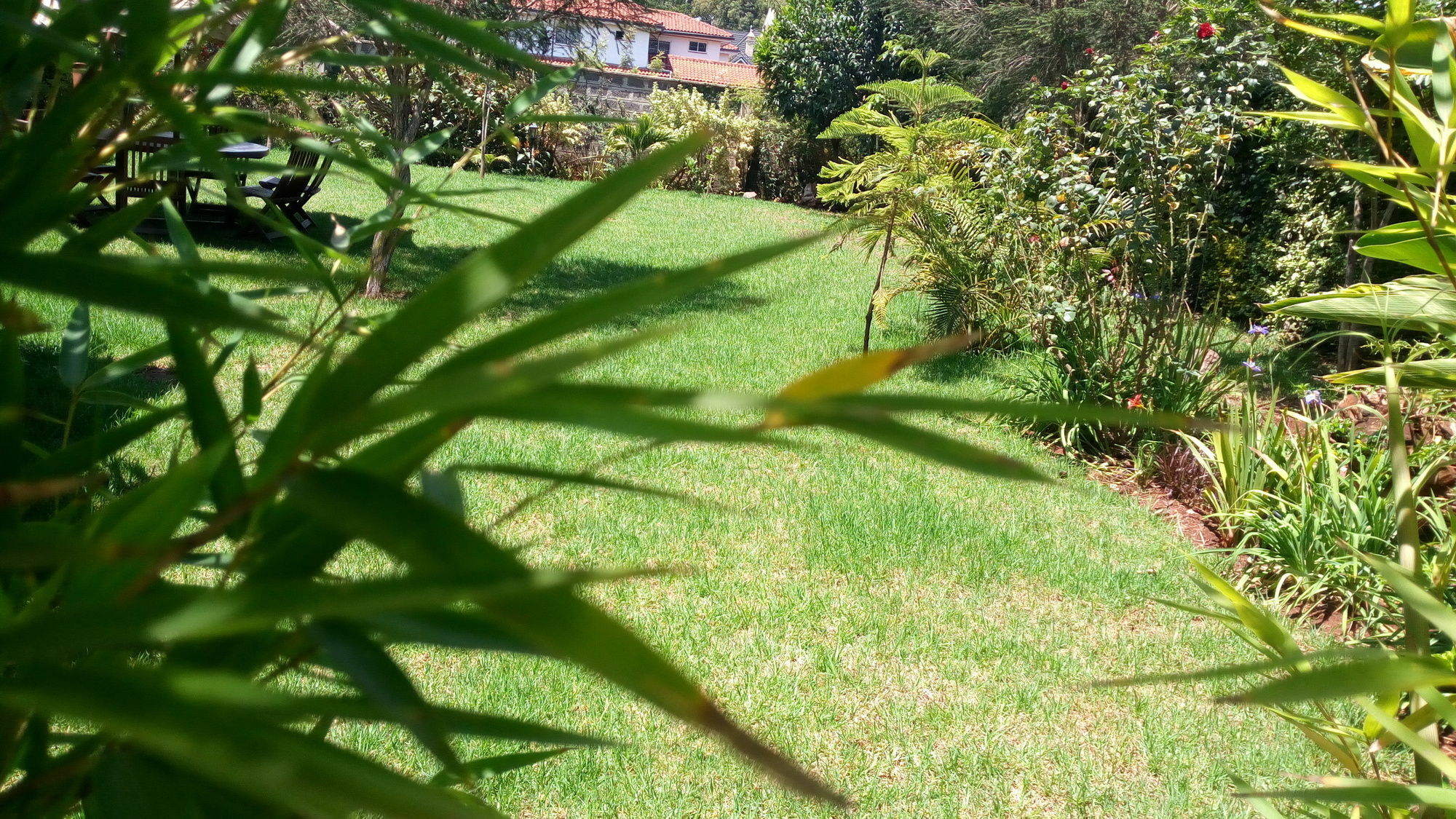 Fairacres House & Spa Langata Extérieur photo